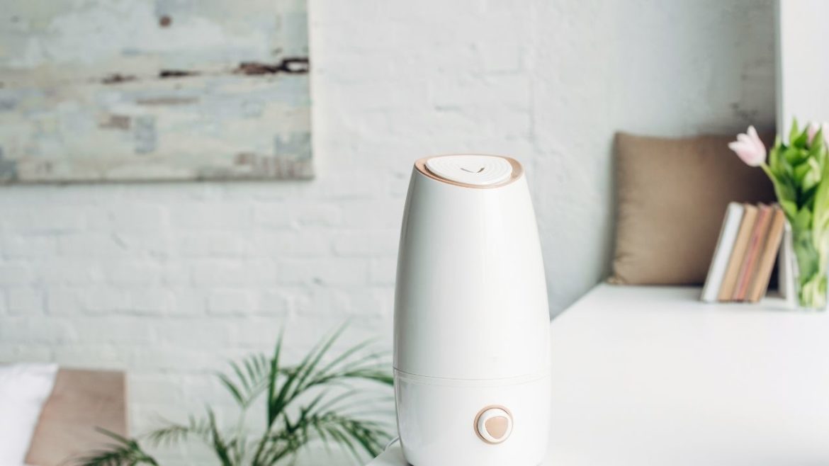 How to Clean a Humidifier Mr Gadget