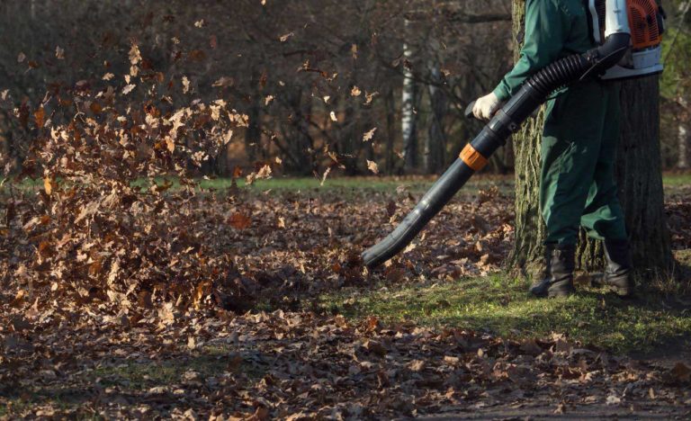 How to Use a Leaf Blower